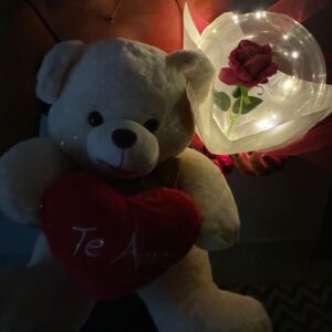 Presente Urso G + Buque Rosa