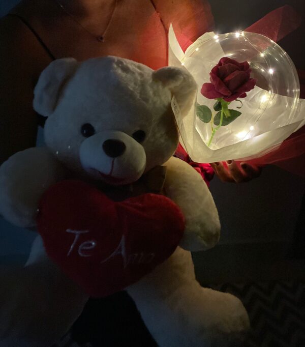 Presente Urso G + Buque Rosa